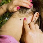 Профілактика хвороби Лайма