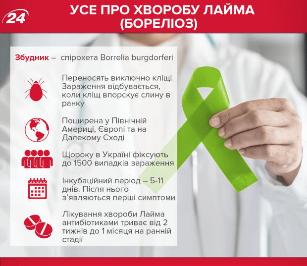 Профілактика хвороби Лайма