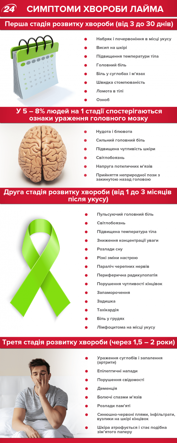 Профілактика хвороби Лайма