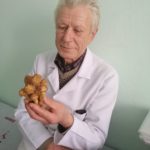 Обережно: отруйні гриби! Обережно: отруйні гриби!