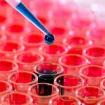 Загальний аналіз крові в подробицях