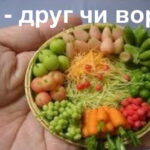Їжа: друг чи ворог? Їжа: друг чи ворог?