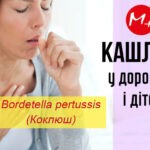 Кашлюк (коклюш) Кашлюк (коклюш)