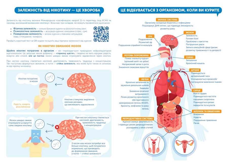 Що відбувається з організмом, коли ви курите?