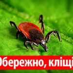 Обережно, кліщі ! Обережно, кліщі !