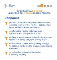 820196092_4678997979053661_400688898996966868_n