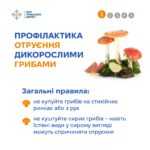 В Україні триває осінній сезон збору дикорослих грибів
