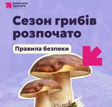 Гриби